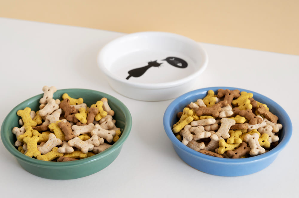 Nutrition Myths in Pet Food: What’s Really Good for Your Pet